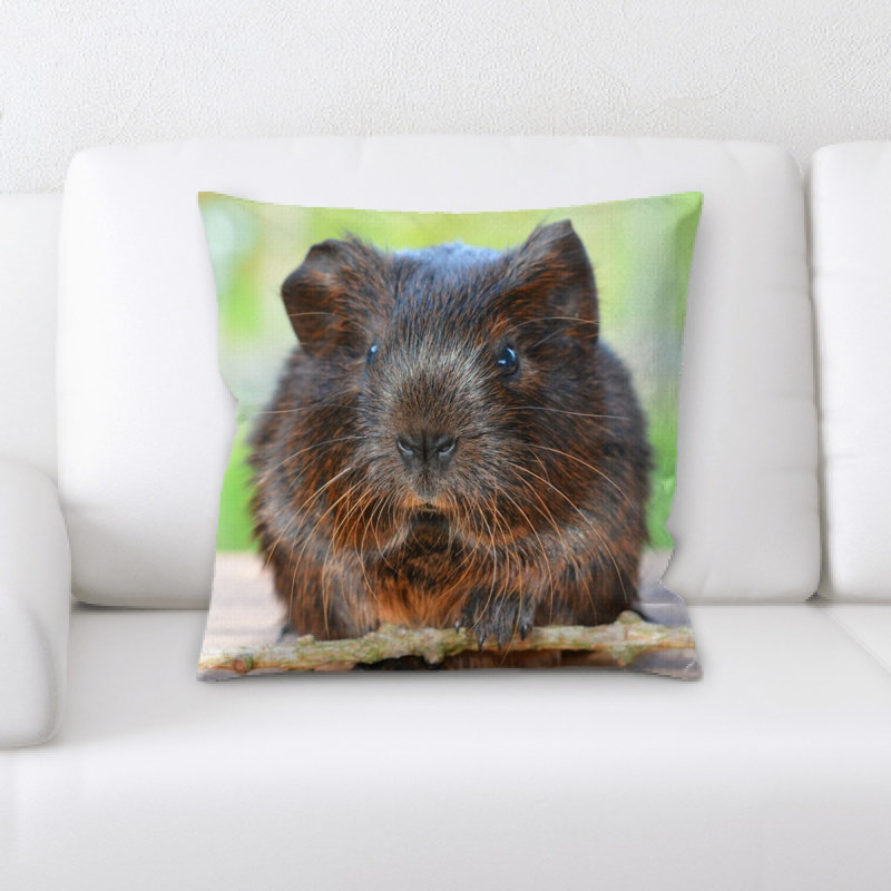 Coussin agouti