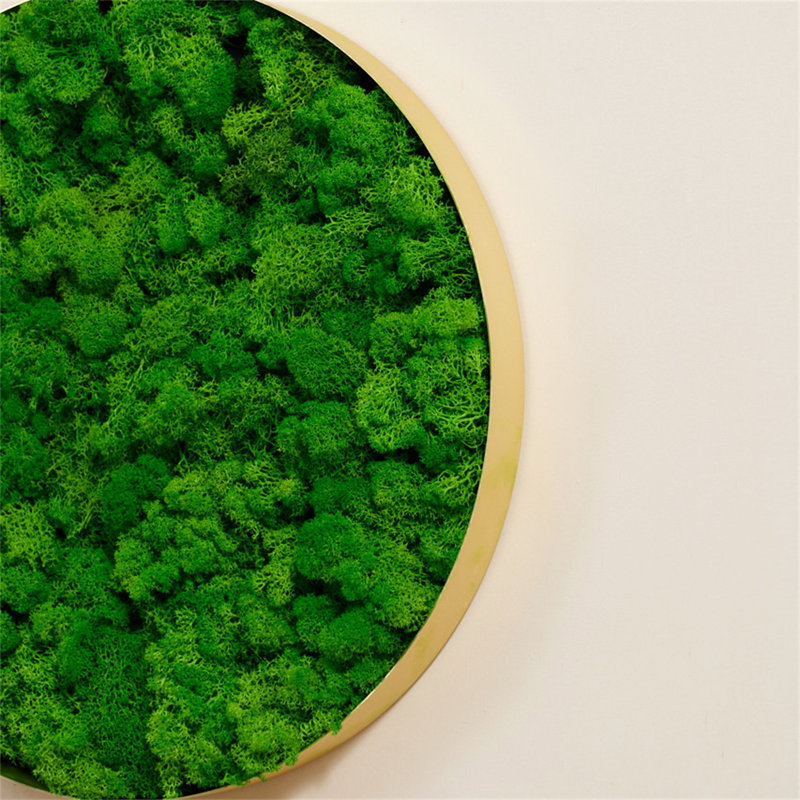 Décoration murale ronde en mousse encadrée, seulement la petite pièce, H 2 po x l 24 po x P 24 po