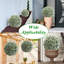 Arrangement