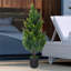 70cm Tree