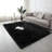 Indoor Rug-1297872893