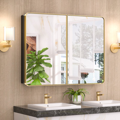 Gervon Rectangle Recessed Medicine Cabinet with Adjustable Shelves
