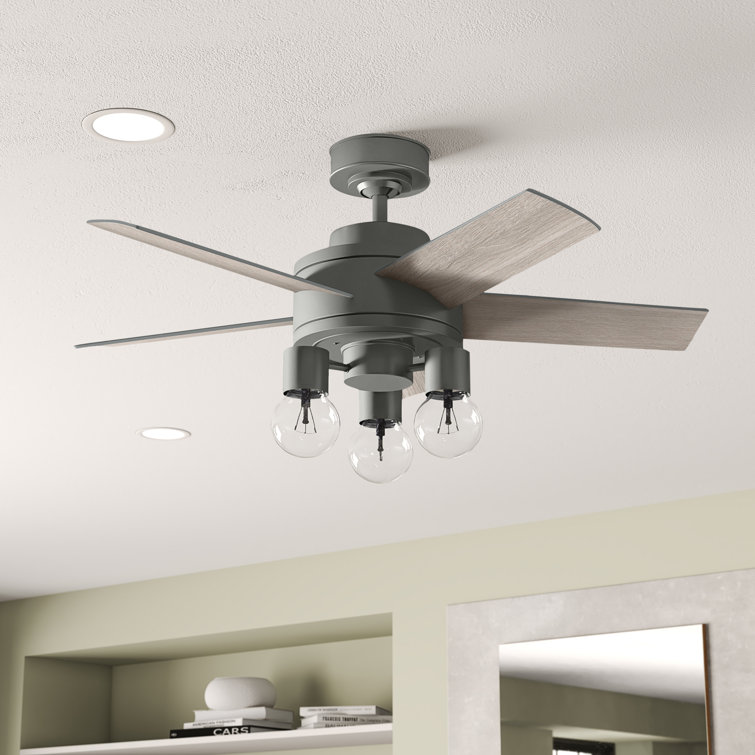44" Hardwick 5 - Blade Standard Ceiling Fan with Remote Control and Light Kit Included