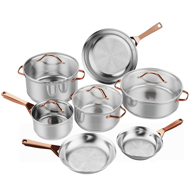 https://assets.wfcdn.com/im/73754270/resize-h755-w755%5Ecompr-r85/2190/219020838/11+-+Piece+Stainless+Steel+Cookware+Set.jpg