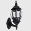Shuler Black Outdoor Wall Lantern
