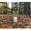 Engraved Aspen Forest Hurricane