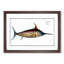 Swordfish - Picture Frame Art Prints-55616844-55616841
