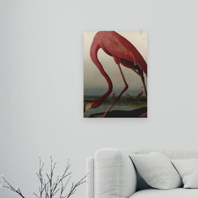 Art flottant en aluminium brossé John James Audubon «American Flamingo»