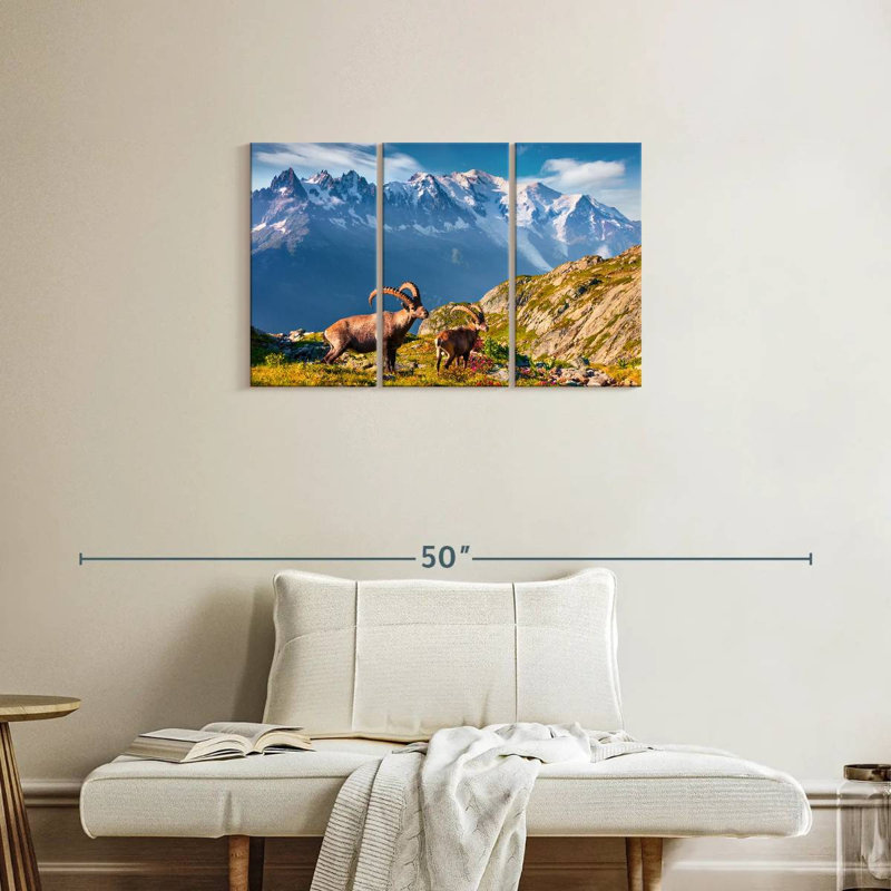 Alvord Mont Blanc Ibex, 20" H x 33" W