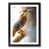 Black Framed selected