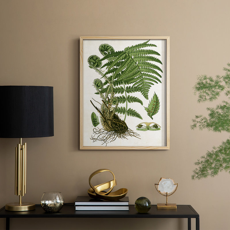 Fougère I, reproduction encadrée - bois massif, Naturel, H 11 po x l 9 po