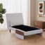 Sofa Bed with Solid Wood Arms and Legs in Cotton Linen, 3-Position Adjustable Back-1585005909-1583228706-1583228708