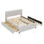 Lit plateforme tapissier avec lit gigogne-1040948455-1040948450-1058239314