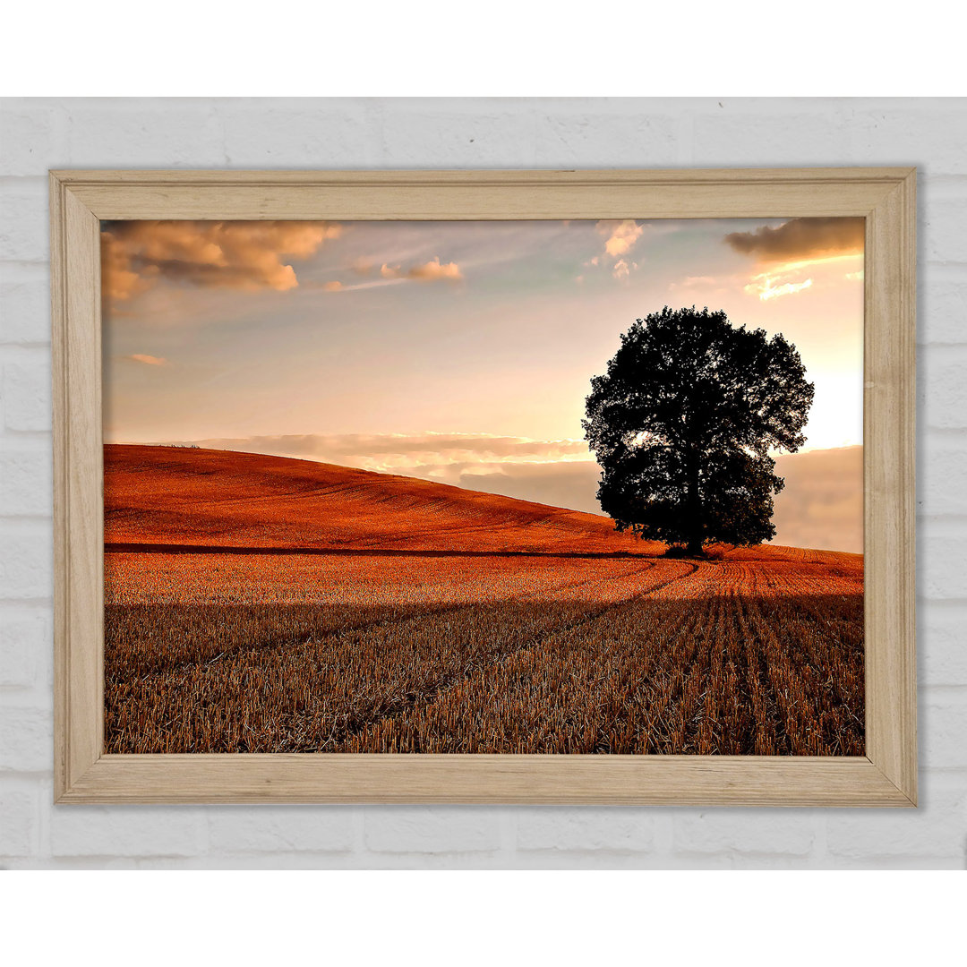 Einsamer Baum auf dem Feld im Herbst - Einzelne Bilderrahmen Kunstdrucke