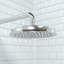 Pomme de douche Raindance C 180-3609284