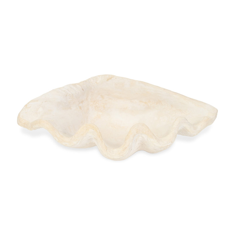 Plateau en coquillage pour coquillages Vail, H 4 po x l 7,5 po x P 5,25 po