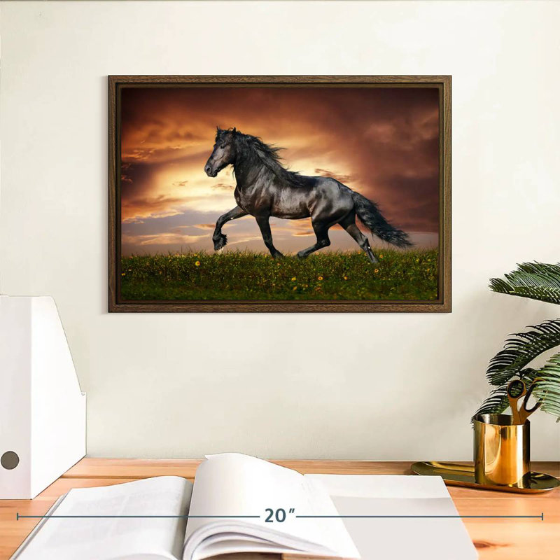 Cheval baroque, 13 po x 9 po, Cadre flottant en noyer