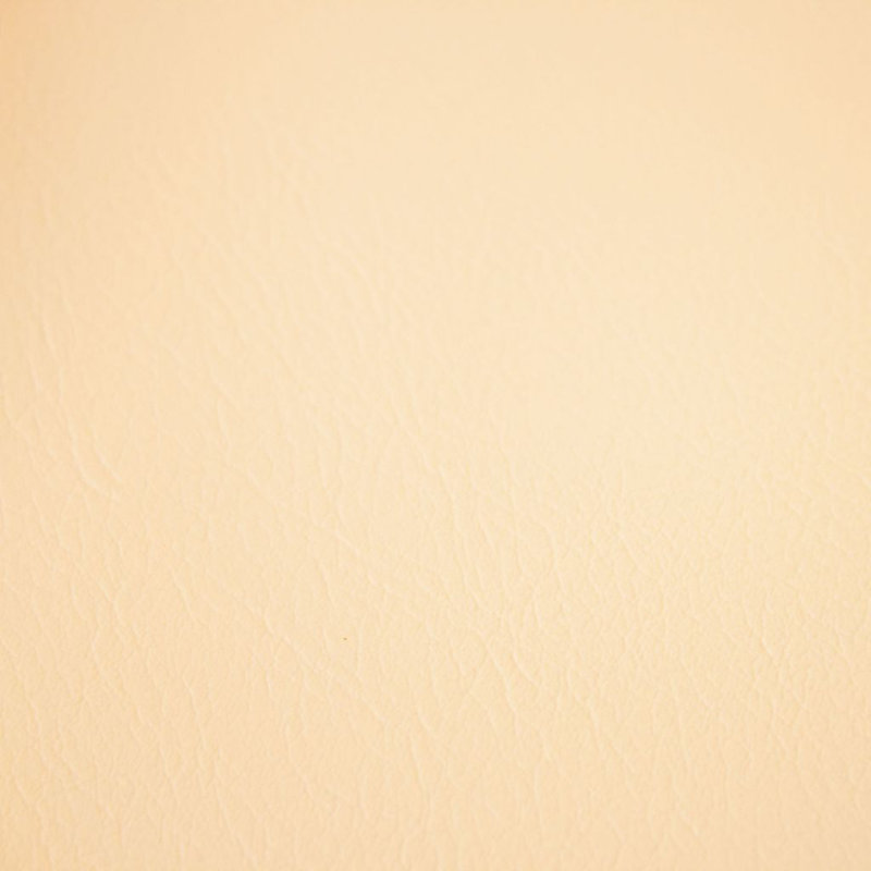 Tissu classique en vinyle Fortitude Performance, Latté vanille