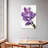 Harnek Sweet Pea Flowers-108523065
