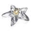 Starfish Tealight