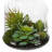 10'' Faux Succulent in Glass Jar