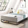Modernista 6'' Steel Bed Frame