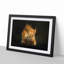 Red Squirrel - Framed Print-55598278-55598284