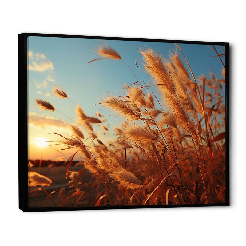 Golden Grass Field At Sunrise sur impression sur toile, Cadre flottant noir, H 24 po x l 32 po