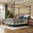 Magdaleno Metal Canopy Bed-184808846-184808842