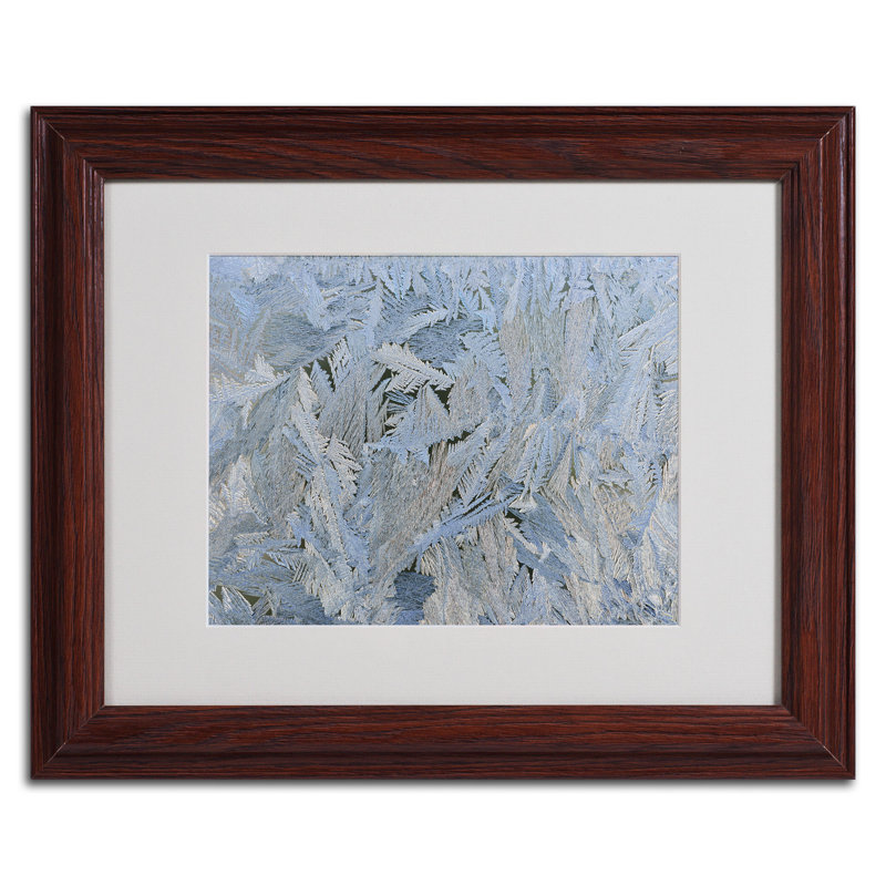 «Frost Pattern # 6» par Cooperstown, reproduction de photo sur toile encadrée, H 11 po x l 14 po x P 0,5 po, Brun