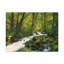 No Frame Print on Canvas-297426617