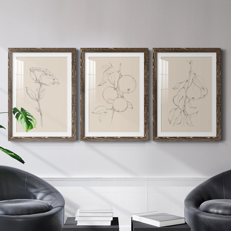 Floral Contour Study IV Premium encadré mat - prêt à être accroché, H 20 po x l 51 po x P 1,5 po, Noyer