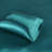 Printed Satin Wrinkle Resistant Luxury Sheet Set-111014619-111014617