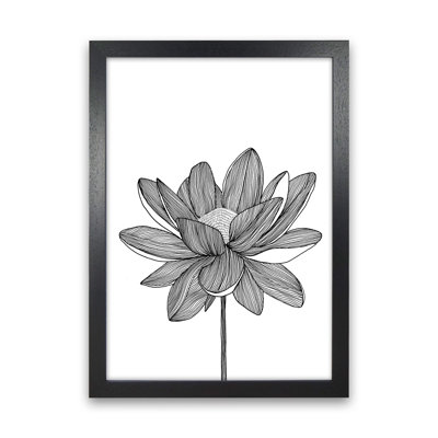 Lotus by Carissa Tanton - Print