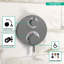 Hansgrohe Ecostat S Modern 2-Handle 6-Inch Wide , Temperature Memory, Thermostatic Valve Trim Only-63222409