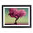 Black Framed selected