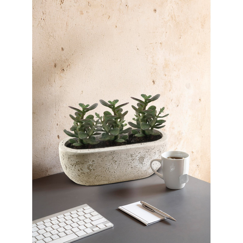 Pot à fleurs en ciment Gracie Oaks Beige Oval, H 7 po x l 17 po x P 17 po