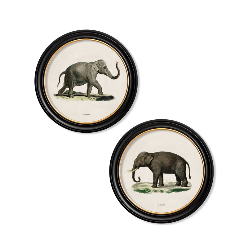 Elephant RF by Mid-1800s - Single Picture Frame Print on Archival Matt 230gsm Paper