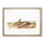 Jumping Mice by J.W. Audubon - Picture Frame Painting Print-55767622-55767621