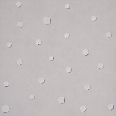 Backdrop Wallpaper Roll