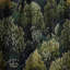 Motif botanique vert forêt IV - Rideau bohémien - Velours obscurcissant - 1 panneau-107596186