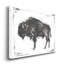 Dynamic bison II, reproduction d’art sur toile-1618218831