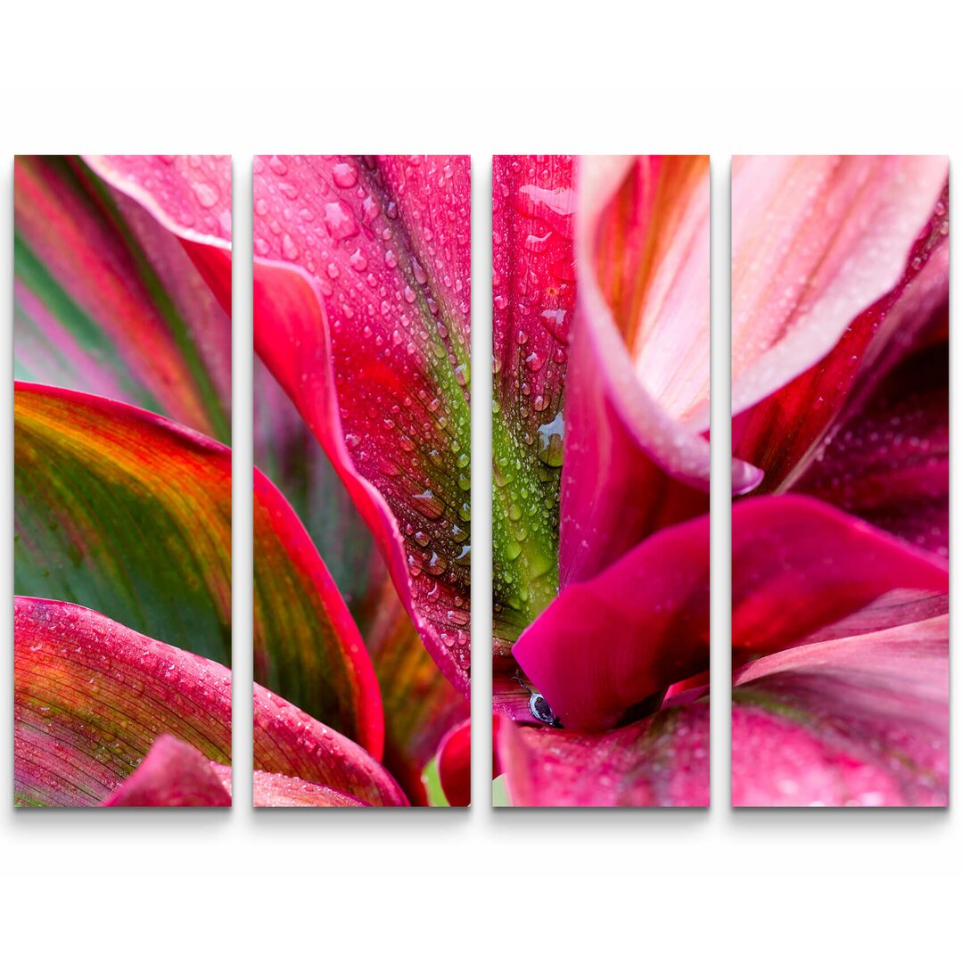 4-tlg. Leinwandbilder-Set Pinke Blume mit Regentropfen