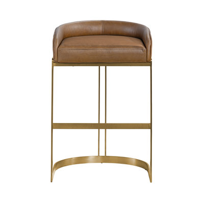 Bradley Genuine Leather Bar and Counter Stool