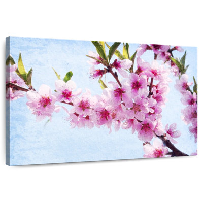 Peach Tree Blossoms