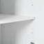 Ciriaca Carved Accent Cabinet with Handleless Doors & Shelves-112460328