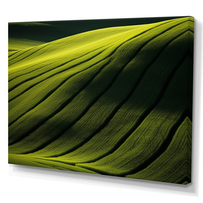 Photographie de prairie verdoyante