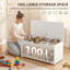 Coffre de rangement pour le salon, banc de rangement, l 31,5 po, blanc