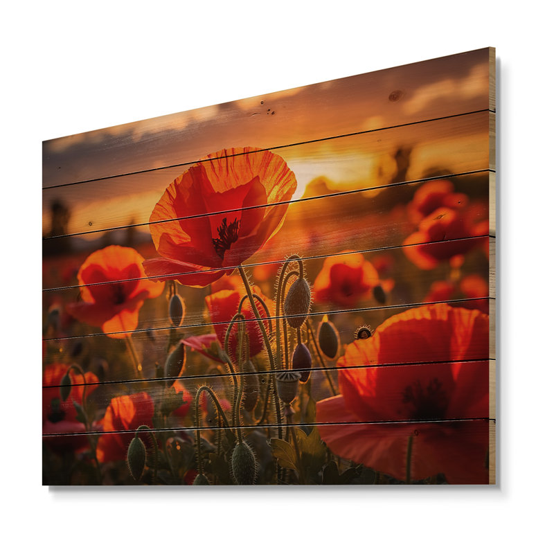 Champ de coquelicots rouges avec coucher de soleil II sur bois, H 10 po x l 20 po x P 0,78 po