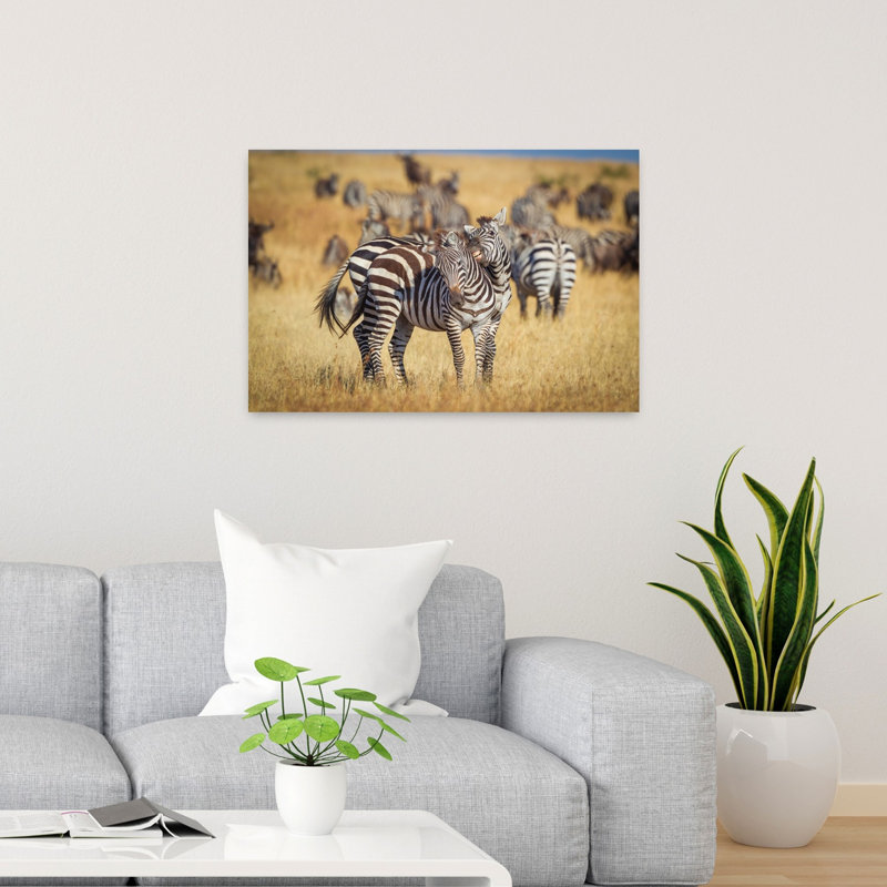 Nuzzling Zebras In Savanna Playful Contemporary Zebra Nature Wildlife Wall Art Print by Jeffrey C. Sink - 1 Piece Wrapped Canvas Wall Art